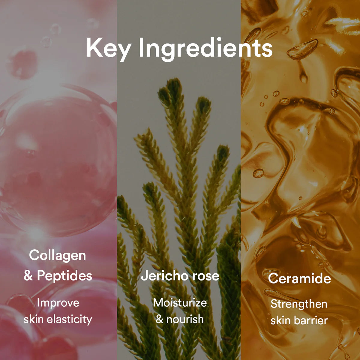 Abib Jericho Rose Collagen Gel Mask 10ea