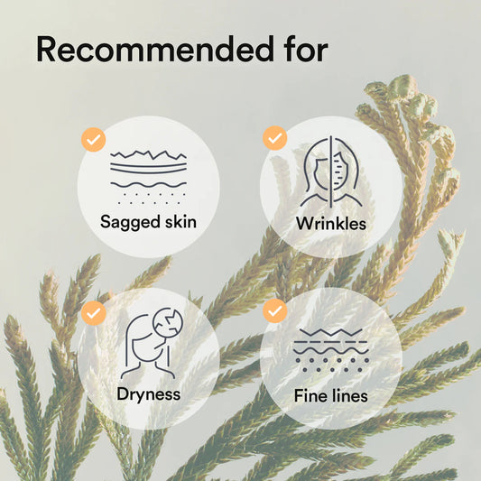 Abib Jericho Rose Collagen Gel Mask 10ea